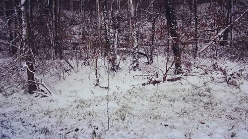 winter