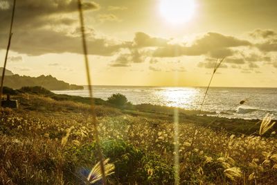 Scenic view of sea at sunset