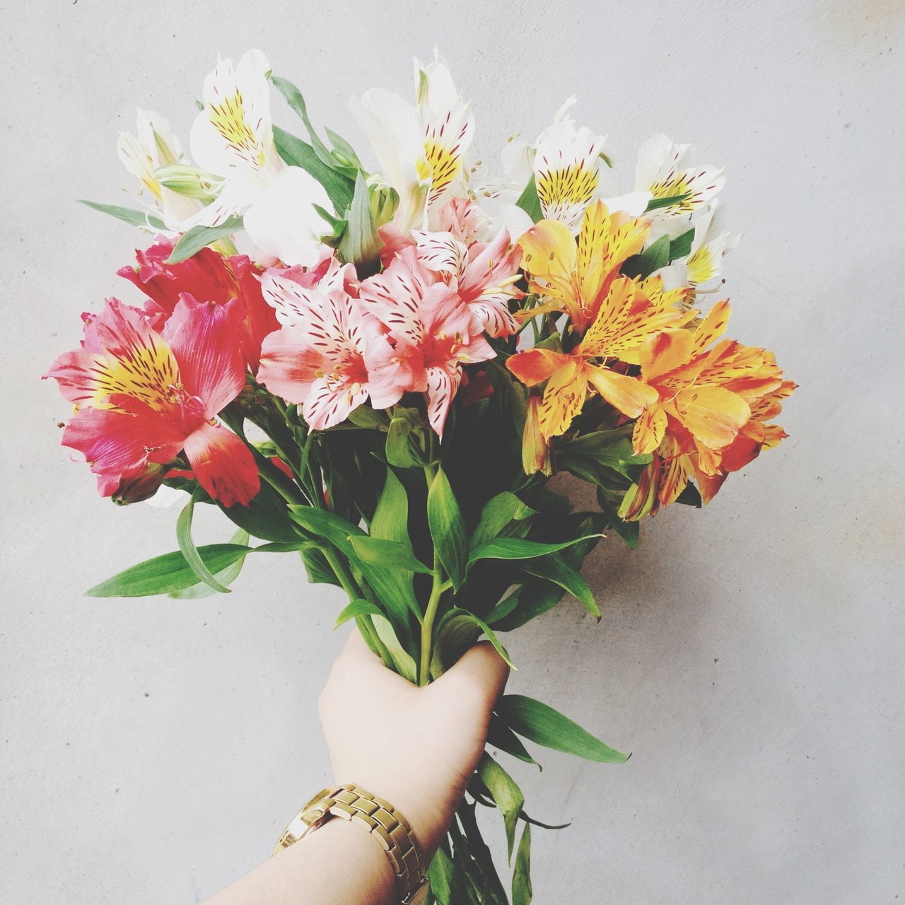 flower, leaf, freshness, person, petal, fragility, plant, wall - building feature, growth, stem, flower head, holding, indoors, potted plant, part of, beauty in nature, close-up