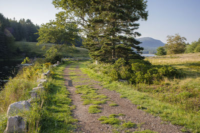 A serene path by a lake with a small fence and some trees. a mountain looms. acadia national park.