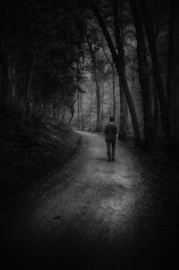 Rear view of people walking in forest