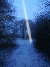 Bare trees on snow covered landscape