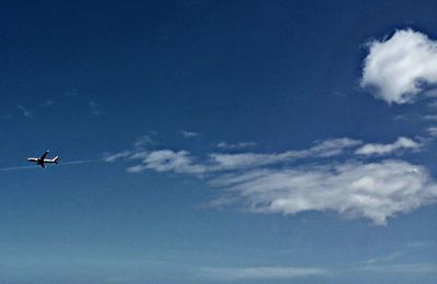 Low angle view of airplane flying in sky