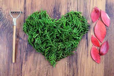 High angle view of heart shape on table