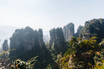 Panoramic view of trees and mountains against clear sky