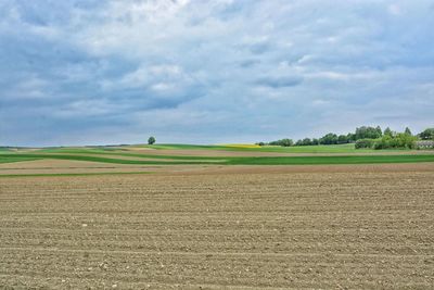 Scenic view of agricultural field against sky