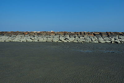Flock of rocks on beach against clear blue sky