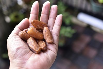 Close-up of hand holding bread