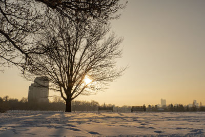 Bare tree on snow covered landscape against sky during sunset