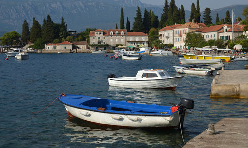 Many different type of boats anchored in a small port of rose, herceg-novi, montenegro