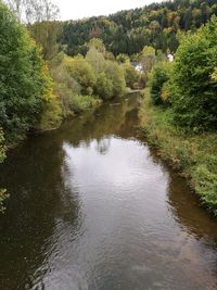 Scenic view of river in forest against sky