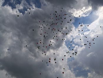 Low angle view of birds flying in sky