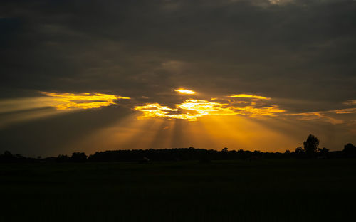 Silhouette trees on field against sky at sunset