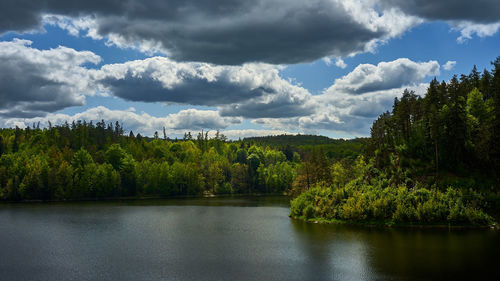 Scenic view of lake in forest against sky