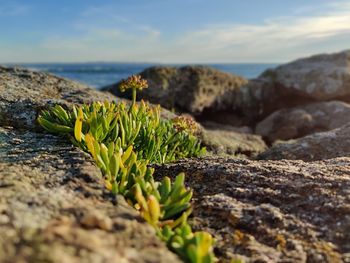 Close-up of rocks by sea against sky