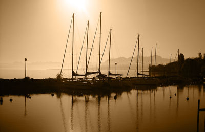 Sailboats in marina at sunset