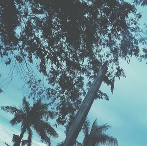 Low angle view of tree against sky