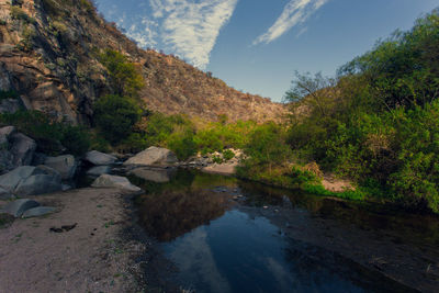 Scenic view of river amidst trees against sky
