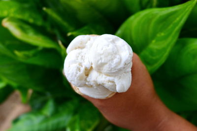 Close-up of hand holding ice cream cone