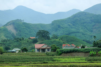 Scenic view of rural landscape.vietnam.