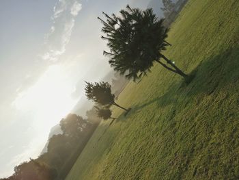 Scenic view of tree on field against sky