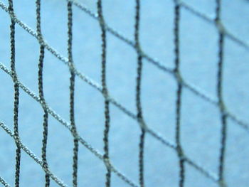 Close-up of chainlink fence