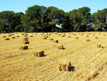 Hay bales on field against sky