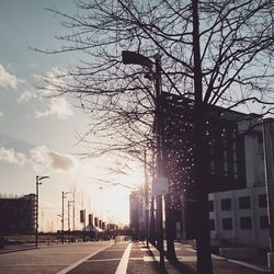 Road along buildings