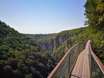 Panoramic view of forest against clear sky