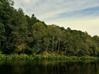 Trees by calm lake against sky