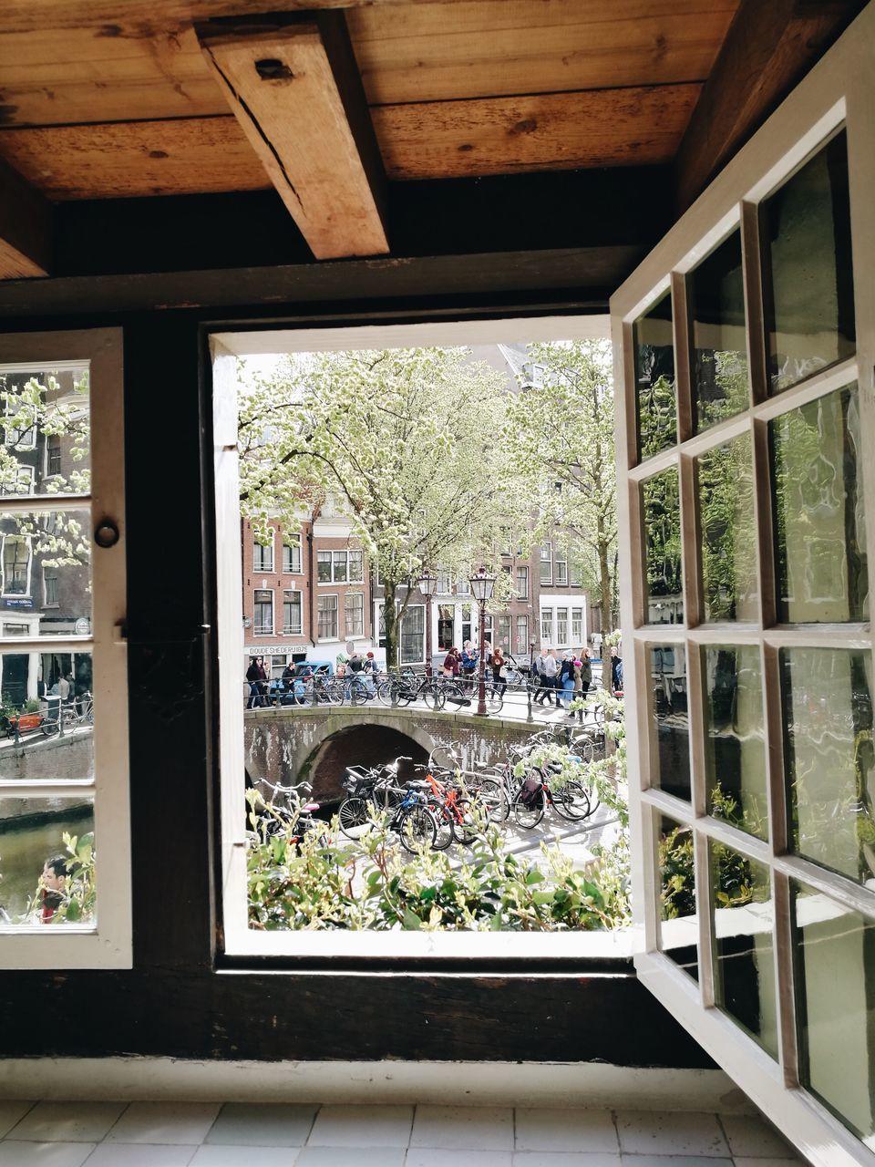 VIEW OF POTTED PLANTS ON WINDOW