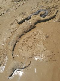 High angle view of sand at beach