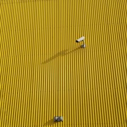 Low angle view of security camera on yellow patterned wall during sunny day