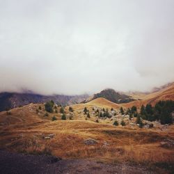 Scenic view of landscape against sky