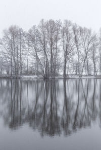Bare trees by lake against sky