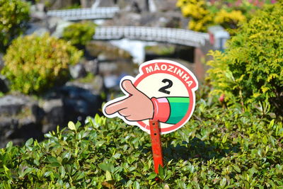 Information sign amidst plants at park