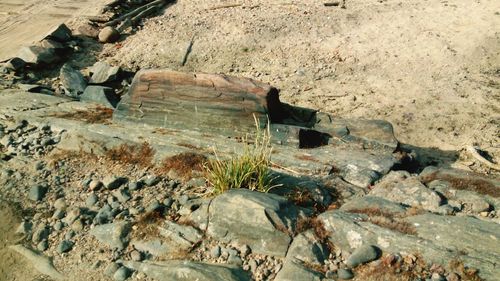 High angle view of rocks on shore