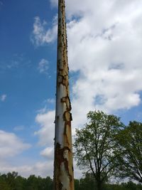 Low angle view of tree against sky