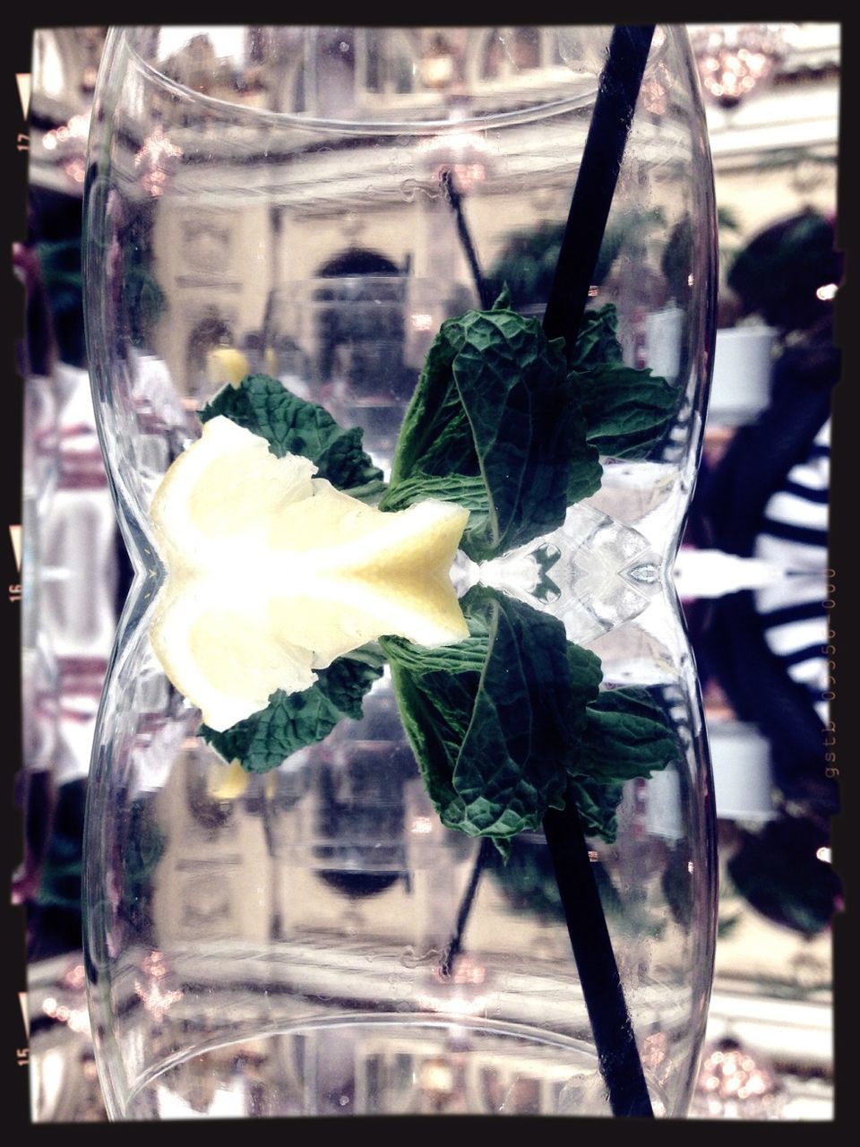 glass - material, close-up, transparent, indoors, freshness, focus on foreground, drinking glass, flower, water, table, fragility, glass, ice, drink, vase, drop, food and drink, cold temperature, refreshment, reflection