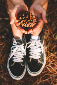 Low section of woman holding pine cone on field