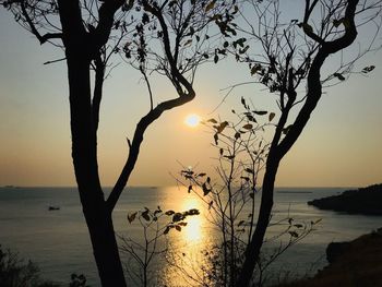 Silhouette bare tree by sea against sky during sunset