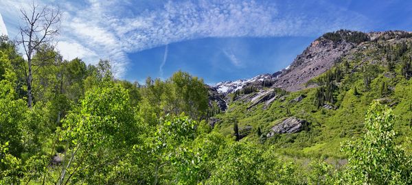 Lake blanche forest twin peaks wilderness, wasatch national forest in big cottonwood canyon utah. 