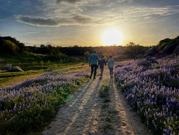 People walking on field against sky during sunset