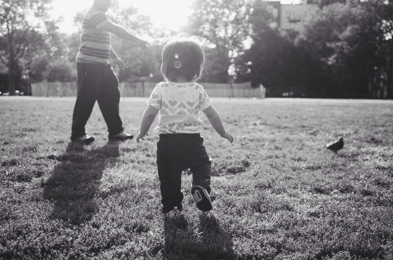 childhood, grass, lifestyles, full length, leisure activity, boys, elementary age, casual clothing, girls, tree, field, playing, park - man made space, innocence, playful, sunlight, standing, rear view