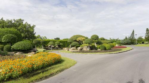 View of flowering plants in garden against cloudy sky