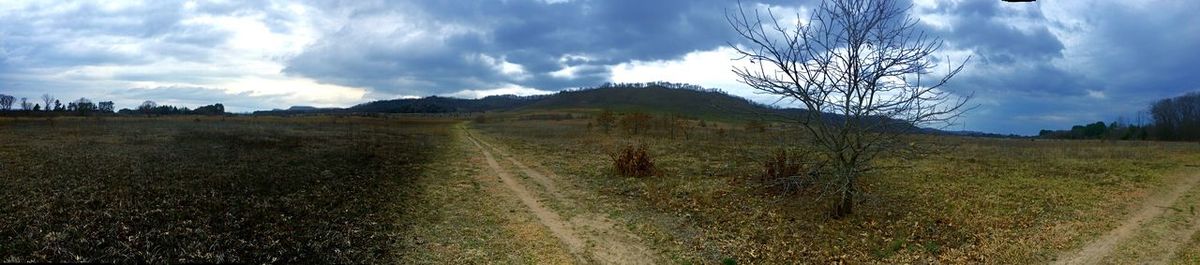Panoramic view of agricultural field against sky