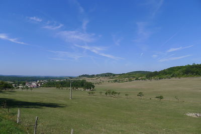 Scenic view of field against blue sky