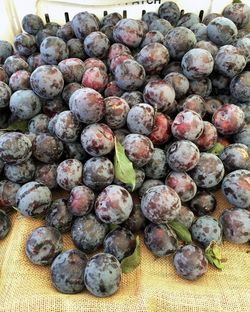 Close-up of blueberries