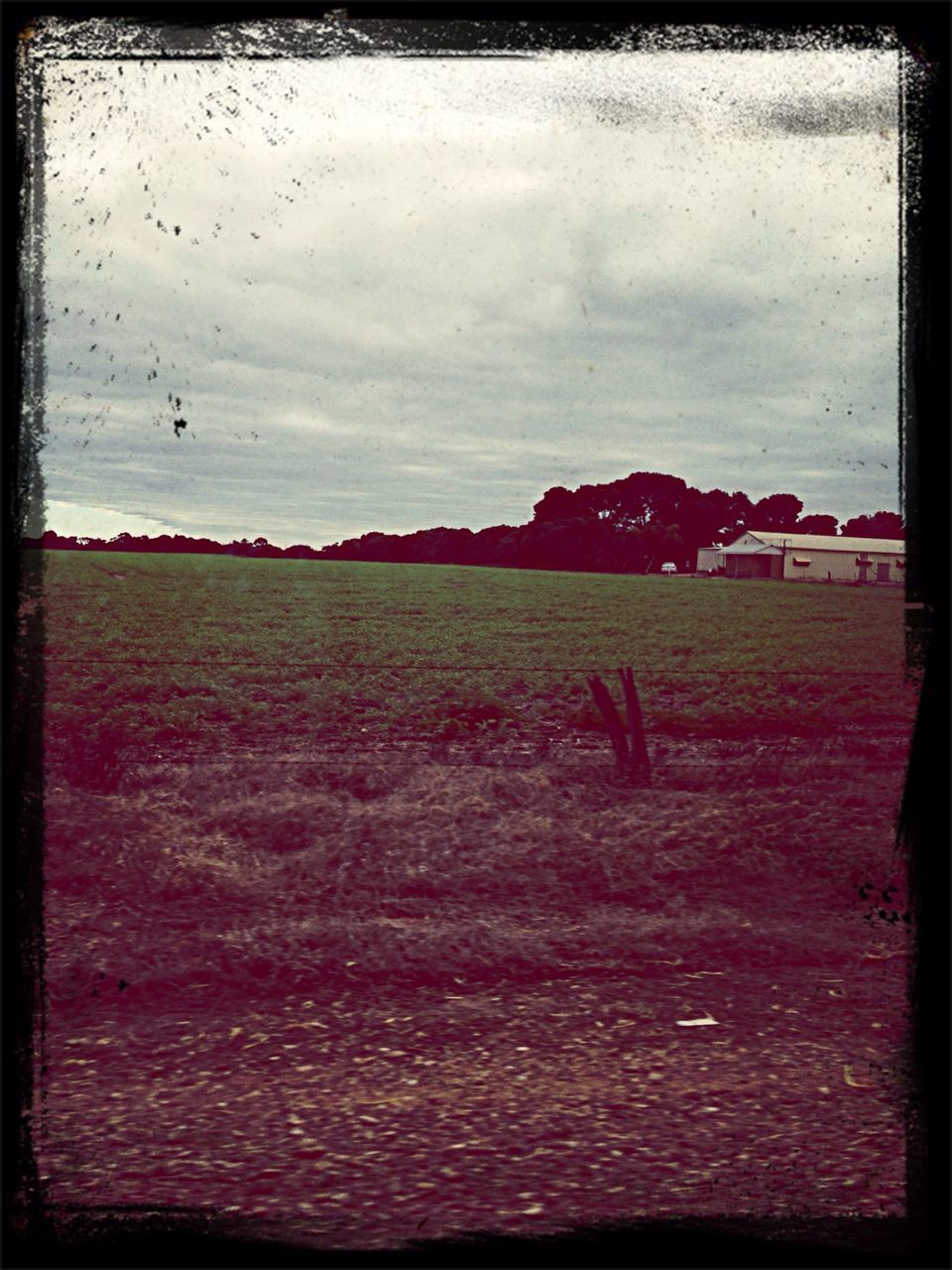 transfer print, auto post production filter, sky, field, cloud - sky, landscape, grass, cloudy, cloud, rural scene, grassy, tranquil scene, tranquility, scenics, nature, outdoors, overcast, beauty in nature, agriculture, horizon over land