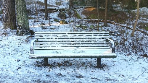 Empty bench on bench